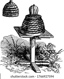 Forma simple de la colmena de abeja, con el capuchón extraído para mostrar la parte superior de vidrio. Las colmenas se utilizan para muchos fines, generalmente para la producción de miel, dibujo de líneas vintage o ilustración de grabado.