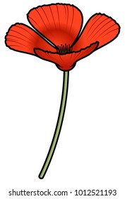 A simple four-petal red poppy.
