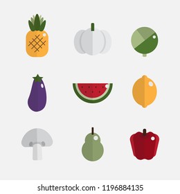 Simple fresh fruits and vegetables icon set with flat design vector illustration, colorful collection, pineapple, garlic, cabbage, eggplant, watermelon, lemon, mushroom, pear and bell pepper.