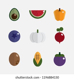 Simple fresh fruits and vegetables icon set with flat design vector illustration, colorful collection, avocado, watermelon, bell pepper, berries, garlic, reddish, potato, corn and mangosteen.