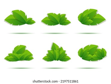 simple fresh green leaf group