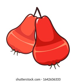 simple fruit vector colored illustration