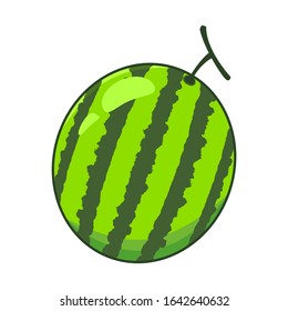 simple fruit vector colored illustration
