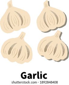 
Ilustración de ajo simple (con sombra)
