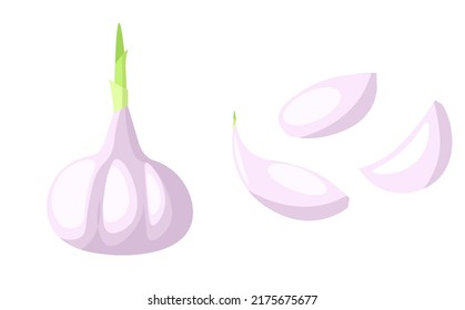 Simple garlic isolated on white background.  3D clip art of vegetables.