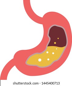 Simple gas in the stomach  vector flat design.Flat icon isolated on the white background.Human Digestive system anatomy.