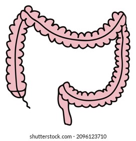 Simple gastrointestinal illustration of bowel internal system. Healthy gut concept. Human body parts in vector