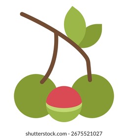 Ilustración geométrica simple de la fruta Matoa, una fruta exótica indonesia.