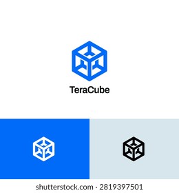 Simple Geometric Wired Cube Box Technology Logo Design Template