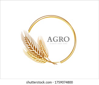 simple gold Circle wheat rice logo symbol design illustration
