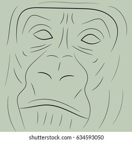 Simple gorilla portrait sketch or icon