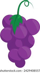 Simple Grape Fruit illustration with Purple color