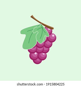 simple vector de uva. ilustración del vino. fruta fresca