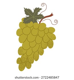 Ilustración de uvas simples. Fruta de uva fresca. Concepto de comida saludable. Diseño de Vector plano mínimo para el interior, cartel, cubierta, Anuncio. Aislado sobre fondo blanco.