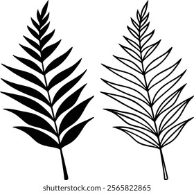 A simple graphic depicting two fern fronds. One is a solid black silhouette, the other is an outline drawing. Both showcase similar leaf structures.