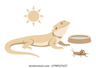 Simple graphic design featuring bearded dragon lizard next to water dish sun icon and cricket insect on white background.