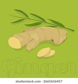 Simple graphic of Ginger Ayurvedic Herb