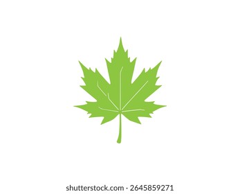 Una simple ilustración gráfica de una hoja de arce verde con venas visibles.
