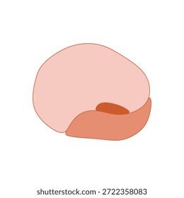Uma ilustração gráfica simples de um único feijão rosa com um sotaque laranja mais escuro, isolado em um plano de fundo branco.