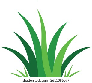 Simple grass illustration isolated on white background	
