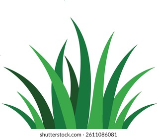 Simple grass illustration isolated on white background	