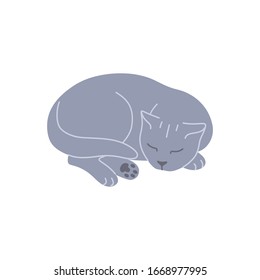 Simple gray british cat isolated on white. Pet lying and sleeping curled up. Cute fluffy domestic animal vector flat illustration.