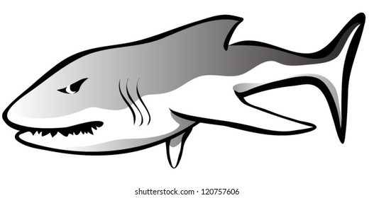 A simple great white shark that seems a little hungry and angry.