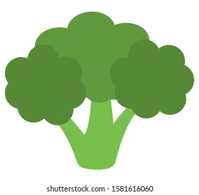 simple green broccoli flat icon