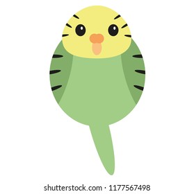 Simple green budgie