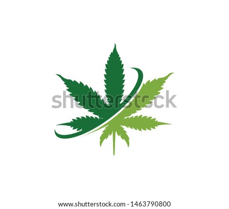 simple green cannabis hemp leaf vector logo template in withe background