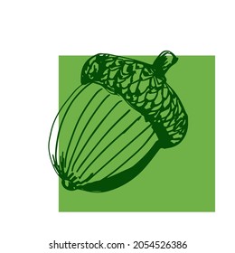 Simple green contoured acorn vector illustration on the light green background. Autumn plant template for design projects. Autumn harvest season. Traditional fall forest fruits. Oak fruit.