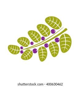 Simple green deciduous vector tree leaf with purple seeds, stylized nature element. Ecology symbol, can be used in graphic design.