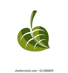 Simple green deciduous vector tree leaf, stylized nature element. Ecology symbol, can be used in graphic design.
