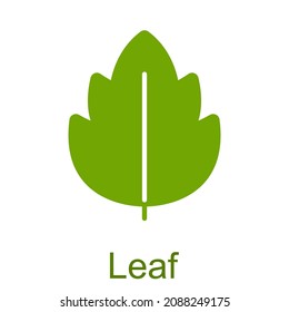 Simple green glyph leaf icon.