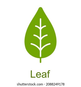 Simple green glyph leaf icon.