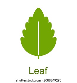Simple green glyph leaf icon.