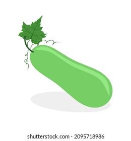 Simple Green Gourd Isolated On White