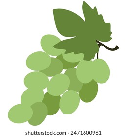Simple green grapes in flat style. Vector illustration. Green grapes vector image on white background. Juicy Summer fruit. 