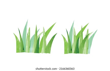 Simple ilustración de acuarela de césped verde aislado en fondo blanco. Piloto dibujado a mano con fondo floral. Dibujo de hierba del jardín de caricaturas