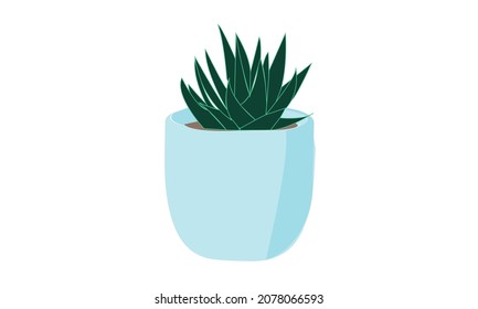 simple green house plant isolated