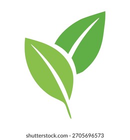  Folha verde simples. Conceito para projetos de natureza temática e projetos ecológicos. Ilustração vetorial