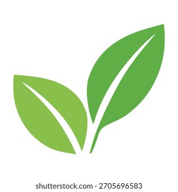  Simple green leaf. Concept for nature-themed designs and eco-friendly projects. Vector illustration