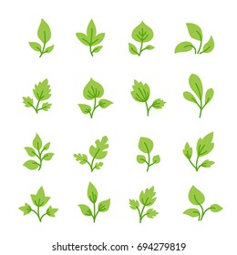 Simple green leaf icon elements.