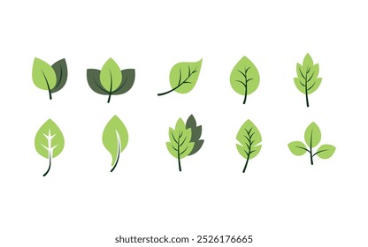 Simple Green leaf icons set on white background,Flat vector illustration.
