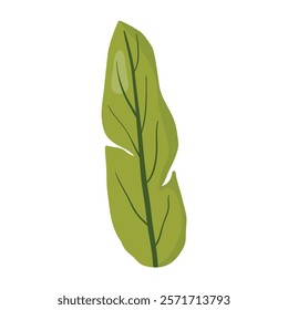 Simple green leaf illustration with a natural, elongated shape and vein details. Perfect for botanical designs, eco-themed projects, and decorative elements