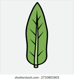 Ilustración de hoja verde simple sobre un fondo blanco.