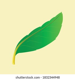 Simple green leaf logo design