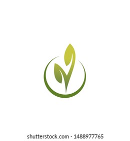 Simple green leaf logo template