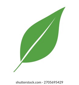 Icono verde simple de la naturaleza de la hoja. Ilustración vectorial