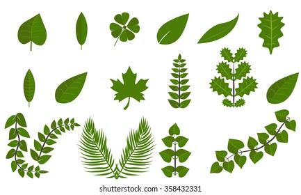 Simple green leaf set flat symbol icon collection. Solid colors